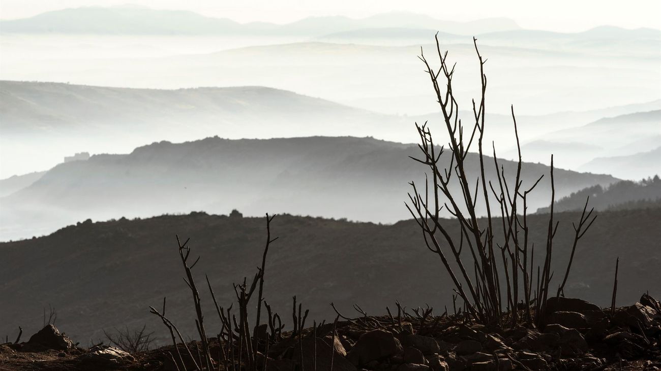 Estabilizado pero activo el incendio de Ávila que ha arrasado más de 20.000 hectáreas