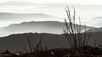 Estabilizado pero activo el incendio de Ávila que ha arrasado más de 20.000 hectáreas