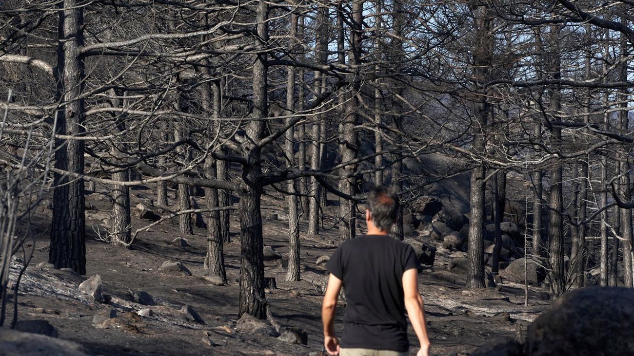 El incendio de Ávila baja a nivel 1 de peligrosidad