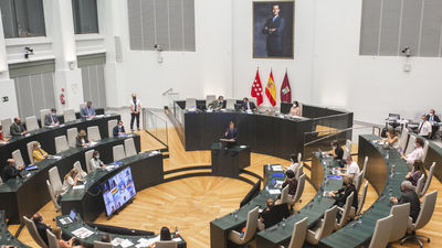 Aprobada la ordenanza de movilidad de Madrid que prohíbe la circulación de coches sin etiqueta en 2025