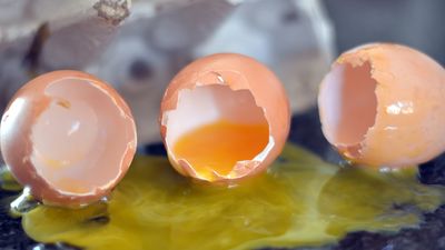 ¿Qué harías si compras una docena de huevos y hay varios rotos?