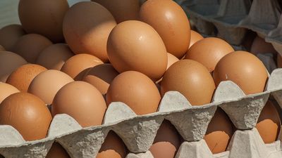 Si al abrir una docena de huevos hay varios rotos...