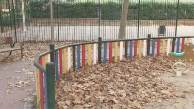 La caída de las hojas de los árboles preocupa a los vecinos de Pinar de Chamartín