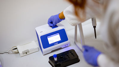 'C.1.2', la nueva variante de coronavirus muy mutante localizada en Sudáfrica