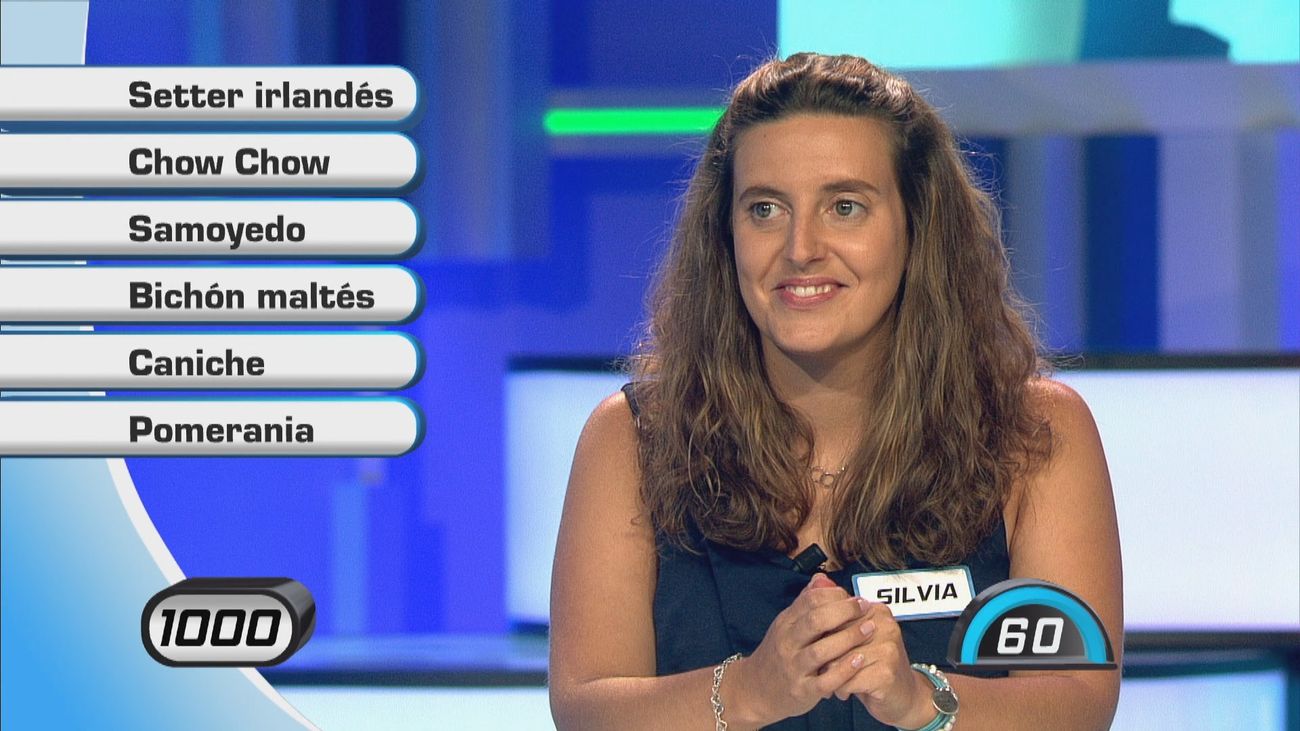 ¿Qué raza de perro estaba considerada compañía exclusiva de aristócratas y nobles hasta el siglo XV?