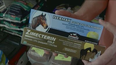 La medicina para caballos que causa furor entre los estadounidenses como milagro anti-Covid