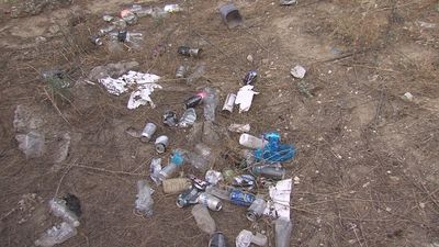 Los vecinos de Santa Eugenia denuncian el abandono de su pinar