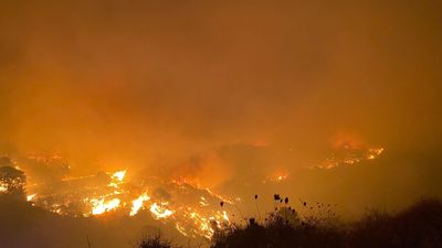 De Navalacruz a Sierra Bermeja: los grandes incendios crecen un 25 % este año