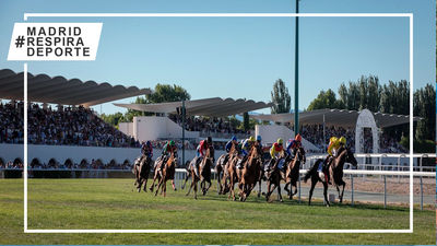 Vuelven las carreras al Hipódromo de la Zarzuela