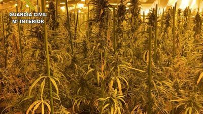 Detenidas 26 personas en una macrooperación contra el tráfico de drogas en Madrid y Toledo