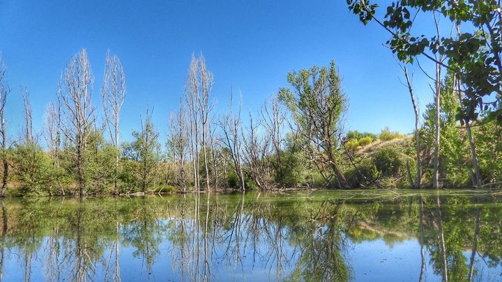 El humedal, antes de la llegada de la 'Ludwigia' / ENTORNO MEAQUES
