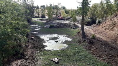 Una planta invasora podría afectar a la Casa de Campo y al Río Manzanares