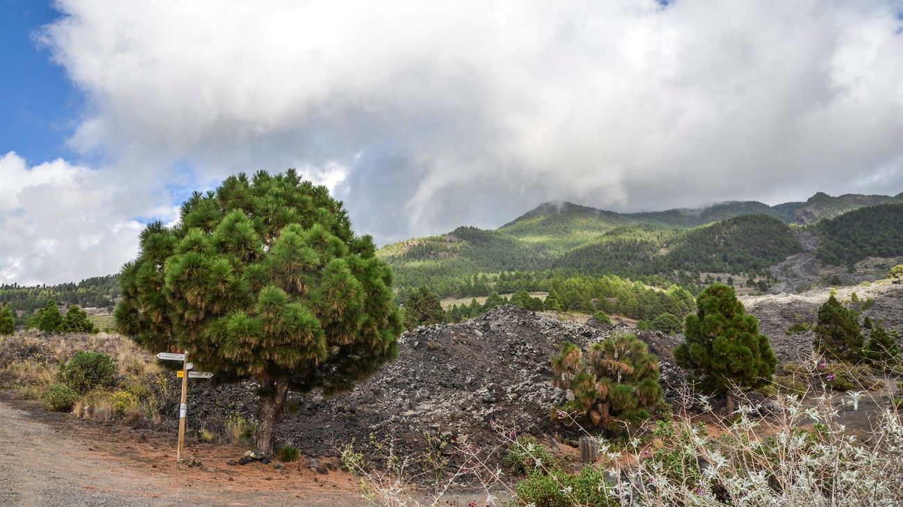 La serie sísmica de La Palma acumula ya más 20.650 terremotos en siete días