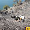 La Confederación del Tajo inicia la restauración de la zona quemada del embalse de San Juan
