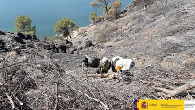 La Confederación del Tajo inicia la restauración de la zona quemada del embalse de San Juan