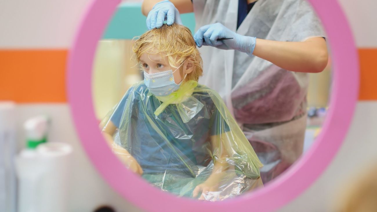 ¿Cómo podemos prevenir y solucionar el problema de piojos?