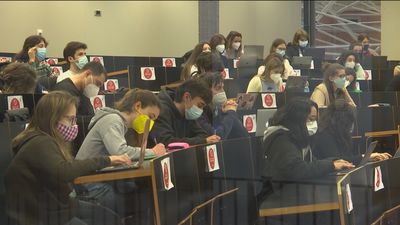 Nacionalismo y lenguas:  Cooficialidad o señalamiento