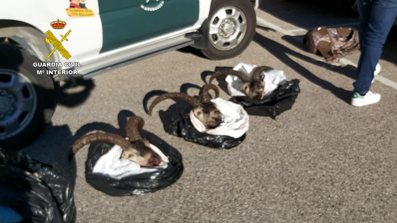 Detenidos dos hombres por cazar de forma furtiva en el Parque Nacional de la Sierra de Guadarrama