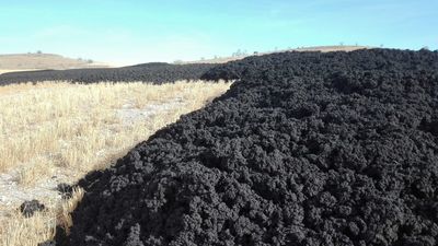 La Comunidad de Madrid confirma la ilegalidad de los vertidos de lodos de aguas residuales en Pinto