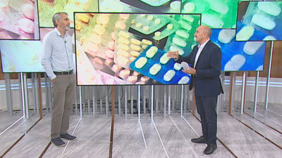 Un estudio del 12 de Octubre señala que “los resultados de la vacuna Pfizer en niños son positivos y tranquilizadores”