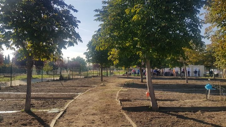 Parcelas de los huertos urbanos en Leganés / AYTO LEGANÉS
