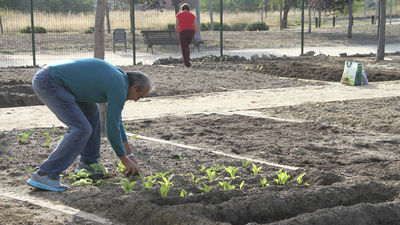 Huertos urbanos para los mayores de 65 años en Leganés