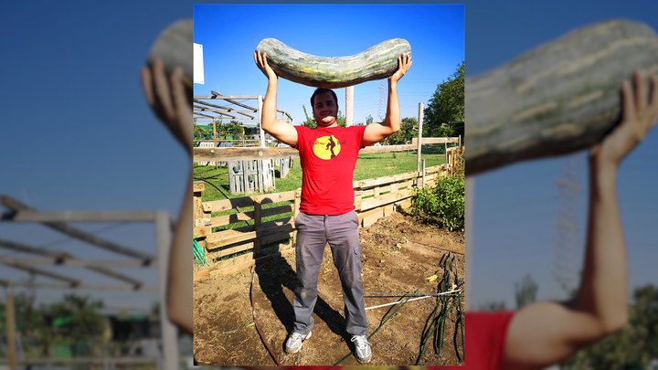 El Huerto Ecológico de Alcorcón ha recolectado dos calabazas gigantes