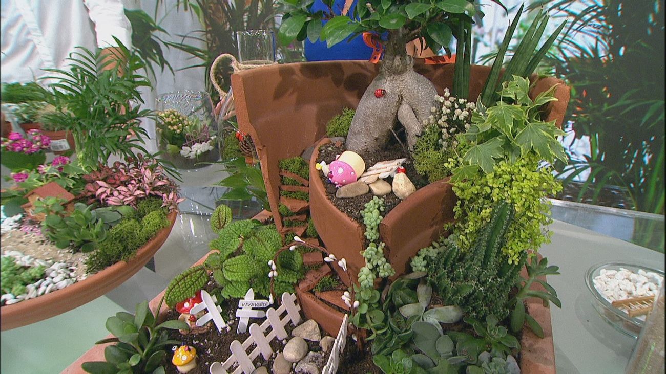 ¿Cómo podemos hacer un jardín en miniatura?