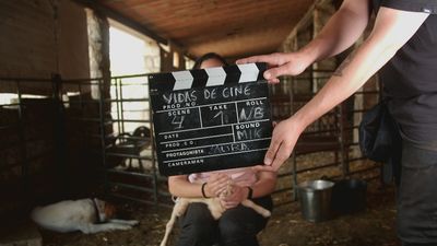 Vidas de cine: Bustarviejo