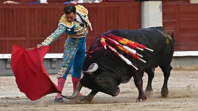 Seis toros para Antonio Ferrera en la Feria de Otoño
