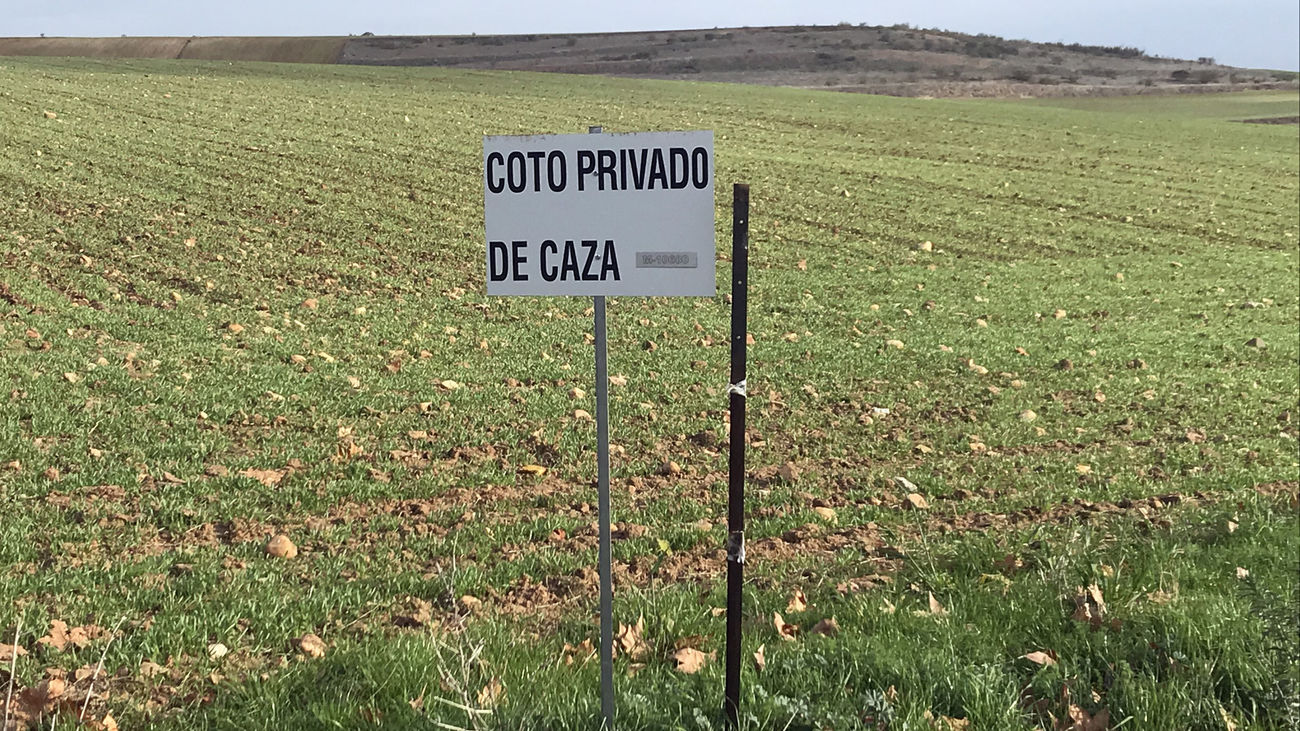 Comienza la temporada de caza menor en los cotos de Paracuellos