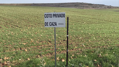 Comienza la temporada de caza menor en los cotos de Paracuellos