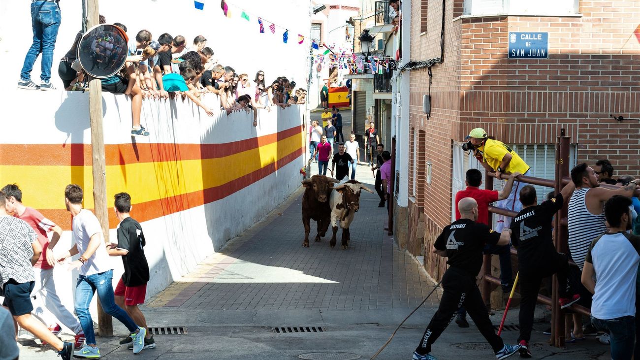 Encierros en Campo Real