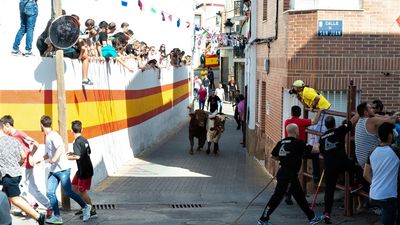Campo Real celebrará sus fiestas patronales y encierros taurinos tras levantarse las restricciones