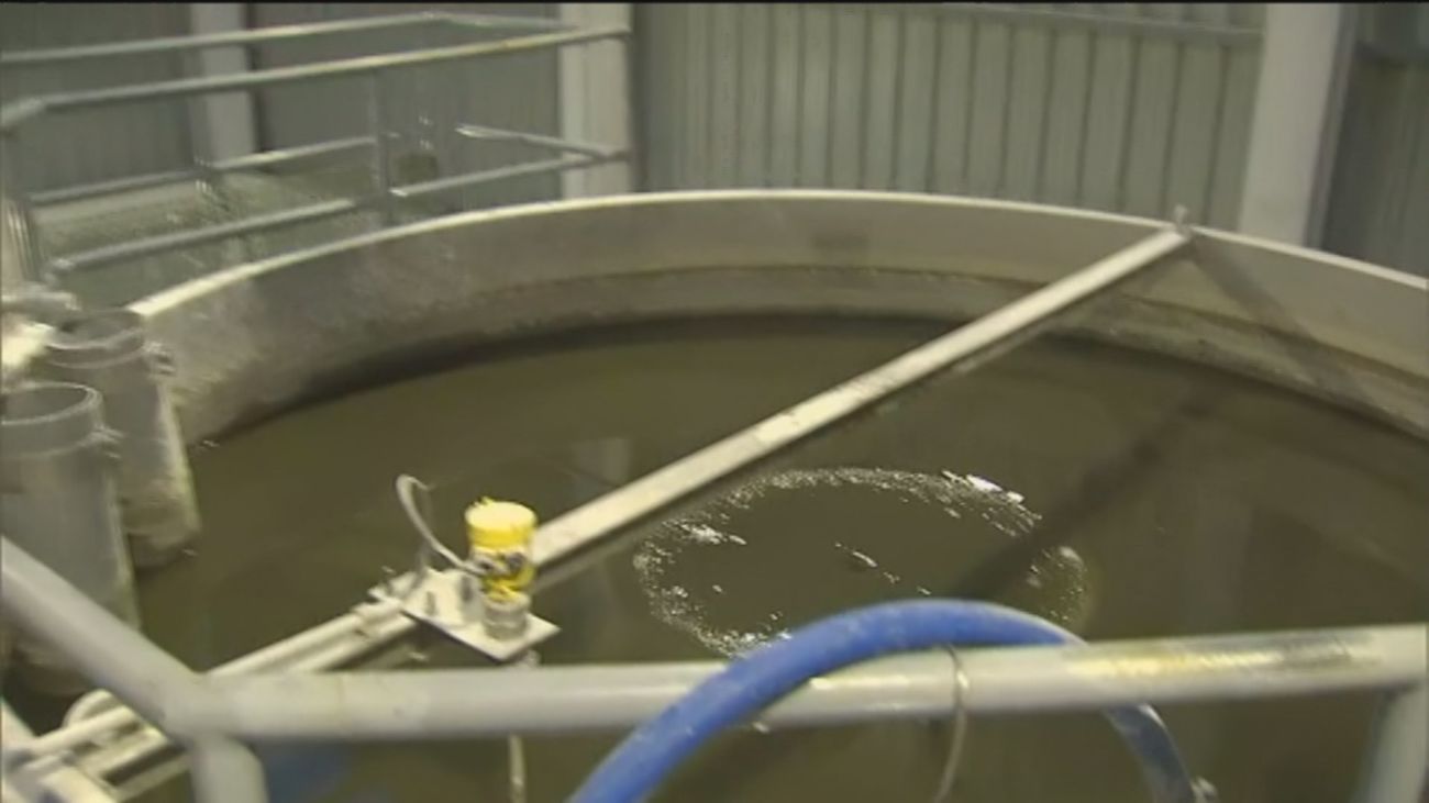 Madrid, pionera en reconvertir aguas residuales en fósforo, el ‘oro blanco de la agricultura’