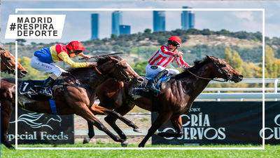 Borja Fayos gana el GP de la Hispanidad y pone en pie al público de La Zarzuela