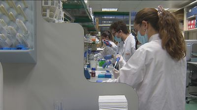 Una investigación española innovadora para luchar contra el mieloma y otros tumores plasmáticos
