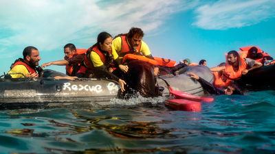 "En ‘Mediterráneo’ mostramos un tema tan sencillo y humano como salvarle la vida a una persona"