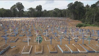 Mueren en Brasil 200 personas usadas como 'cobayas humanas' con proxalutamida