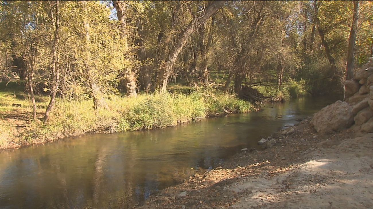 El Proyecto Jarama prevé retornar al río 500 millones de litros de agua procedentes de una cervecera