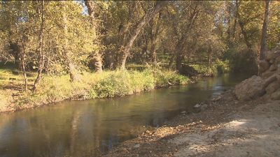 El Proyecto Jarama prevé retornar al río 500 millones de litros de agua procedentes de una cervecera