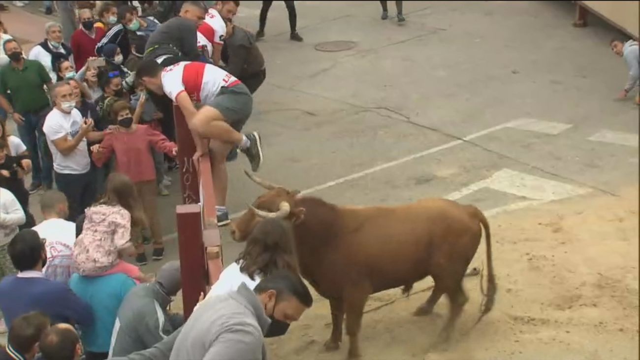 Primer encierro en Villanueva del Pardillo con cinco toros soltados de uno en uno