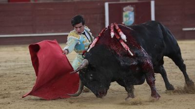 El PP registra una iniciativa en Asamblea de Madrid para que en el bono cultural del Gobierno se incluya la tauromaquia