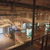 El Museo de Ciencias Naturales, el segundo más antiguo del mundo, cumple 250 años