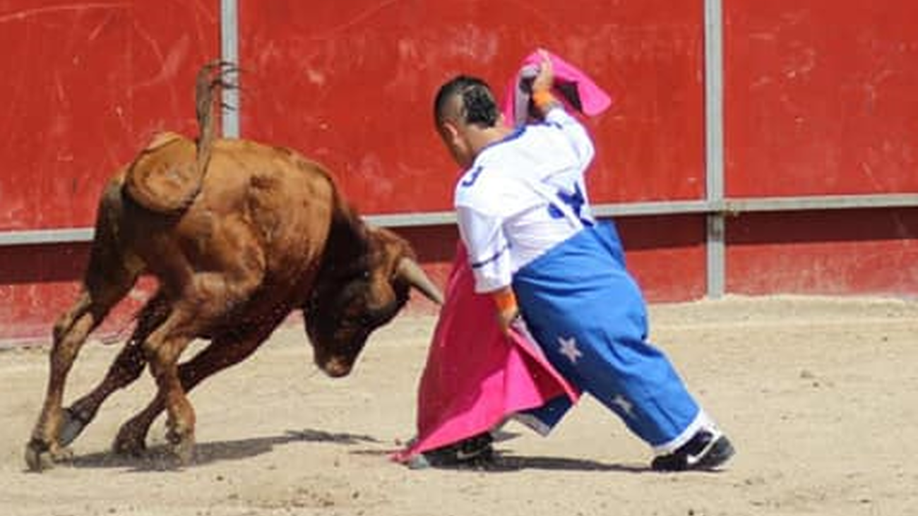 Espectáculo de 'Diversiones en el ruedo y sus enanitos torero'