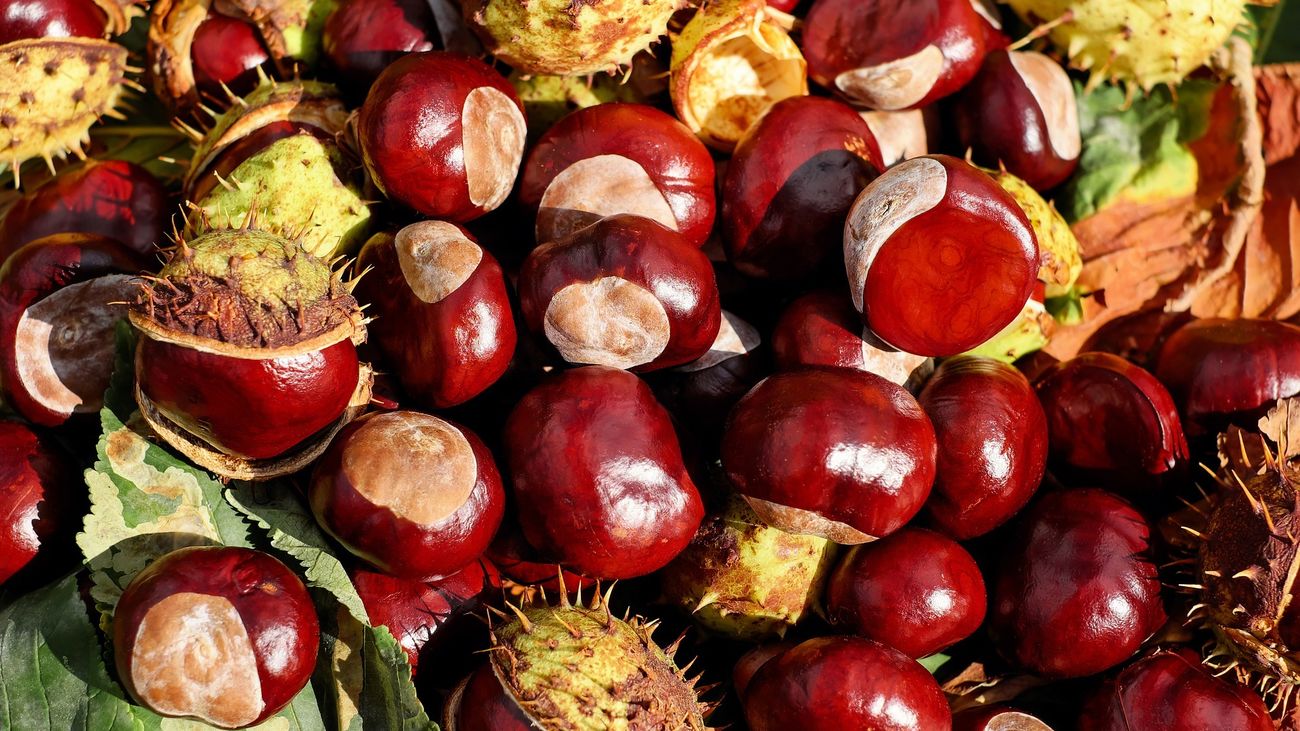 'Atrápame si puedes' te pone a prueba