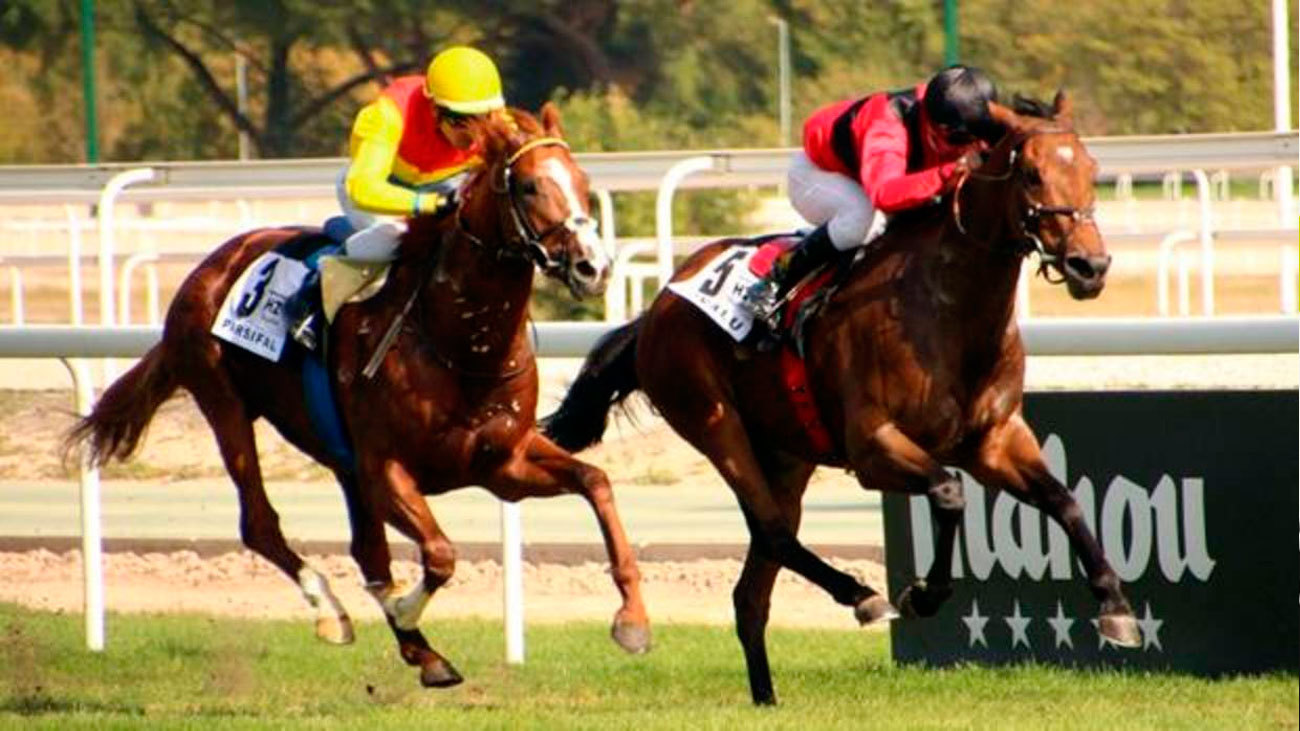 Carrera en el Hipódromo de La Zarzuela