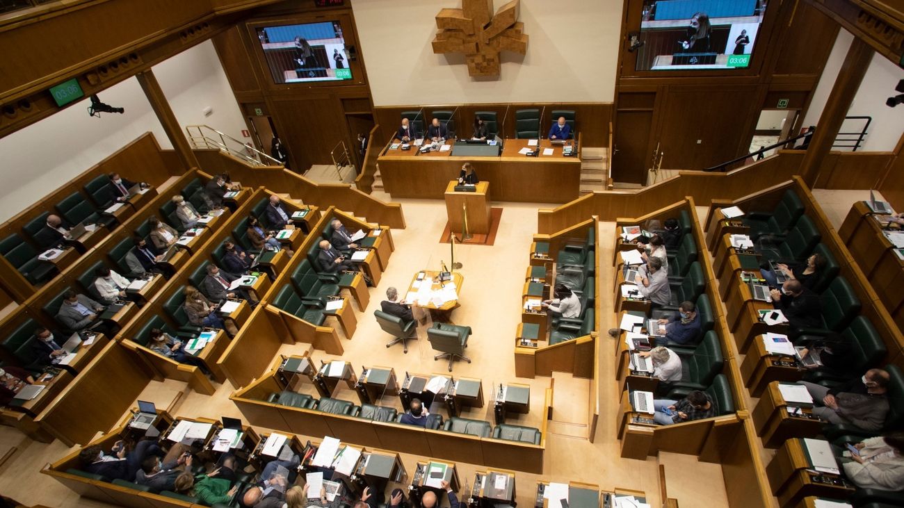 Bildu evita condenar a la banda terrorista ETA