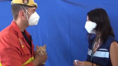 Un militar adopta al gato al que reanimó tras hallarlo asfixiado por cenizas