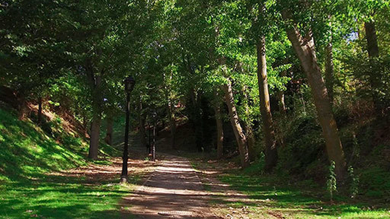 Parque de Las Fuentes de Algete